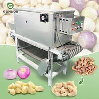 Éplucheuse industrielle à air pour aliments, mini-machine à éplucher les oignons et l'ail, fabrication au Pakistan