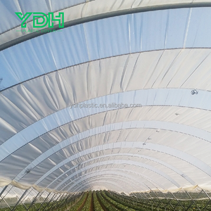 Grande petite serre isolée transparente Film plastique double PET PE pour semis de jardin Prix bon marché d'usine pour l'agriculture - Product Image 6