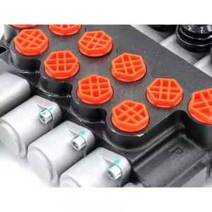 Válvula de Control Direccional Personalizable P40-G12-G38-3OT-OTW, Directo de Fábrica, Piezas para Maquinaria de Construcción - Product Image 4
