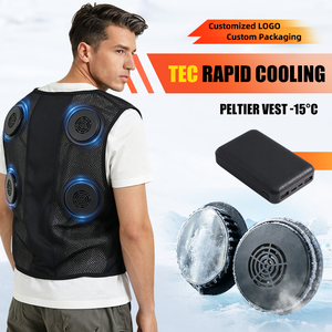 Chaleco Refrigerante TEC Semiconductor Peltier para <span class=keywords><strong>Verano</strong></span>, Aire Libre, <span class=keywords><strong>Hombre</strong></span> y Mujer, Informal, 100% Poliéster, Ropa Refrigerante para Clima Cálido - Product Image 1