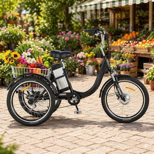 <span class=keywords><strong>Tricycle</strong></span> électrique à cadre en aluminium de 24 pouces 350W, trike cargo <span class=keywords><strong>pour</strong></span> adultes avec frein à disque et panier avant, trike électrique - Product Image 1
