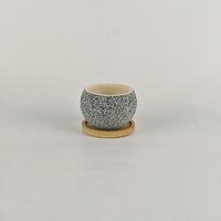 Petits pots à succulentes en céramique écologiques modernes pour une utilisation en intérieur/extérieur, pour petits ou mini cactus