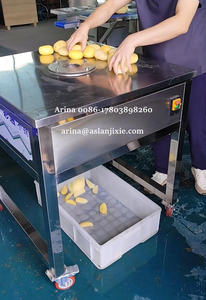 Machine de séparation et de découpe haute performance à 2 pétales pour pommes, pêches, carottes et melons d'hiver - Product Image 2