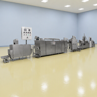 Productielijn voor gepofte maïs-snacks met dubbele schroefextruder & continue friteuse, inclusief mixer, roestvrij staal, automatisch