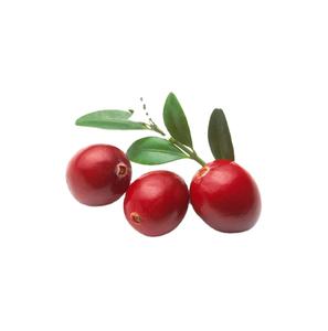 Pó de <span class=keywords><strong>acai</strong></span> de <span class=keywords><strong>berry</strong></span> em massa, de alta qualidade - Product Image 2