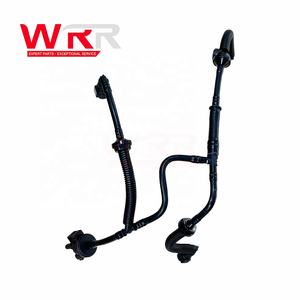 WRR DG9Z9D289F DG9Z-9D289-F Yüksek Kaliteli Karbon Kanister Temizleme Solenoid Valf Grubu, Ford FUSION CC7 2013- için Hortumlu - Product Image 2