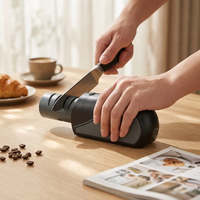 Aiguiseur de couteaux électrique avec corps en acier inoxydable, meules à grains multiples, design écologique pour une utilisation domestique en cuisine