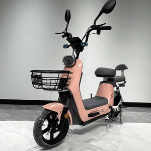 Electric City Bike 48v-60v 21 Speed Rear Hub Motor Brushless E-Bike with Dual Suspension 500W Lead Acid Battery and Charging