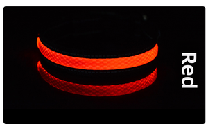 <span class=keywords><strong>Collar</strong></span> de perro de nailon de malla suave de nuevo diseño con luces LED de alta visibilidad, decoración de piel, <span class=keywords><strong>collar</strong></span> de seguridad recargable para mascotas - Product Image 5