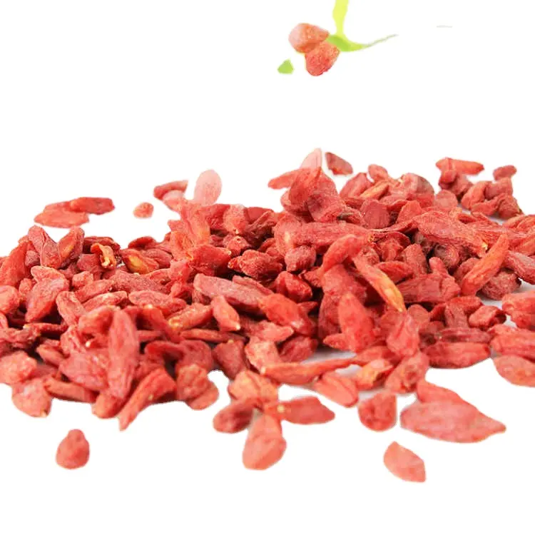 Direktfabrik chinesisch schwarz rot Wolfberry Goji-Beeren Trockenfrüchte Wolfberry