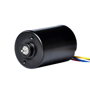 Moteur sans balais 3650, 6000 tr/min, 36V, à aimant permanent, pour applications haute vitesse - Product Image 1
