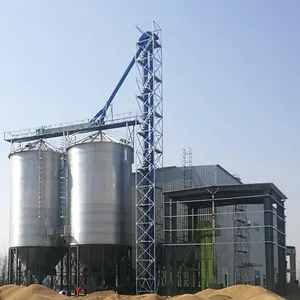 Competitive Pricing Almacenamiento De Grano De Silo 500ton For Maize Rice