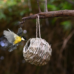รังนกหญ้าฮิบิสคัส ขนาดกลาง แบบธรรมชาติ สำหรับนก ตกแต่งสวนหลังบ้าน งานฝีมือ - Product Image 2