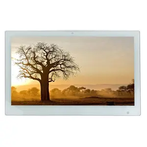15.6 inch advertising digital photo frames with USB