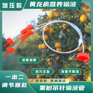 Tube d'infusion pour arbres fruitiers Huanglongbing, pressurisé, sans BPA, en PVC, pour arbres fruitiers - Product Image 5