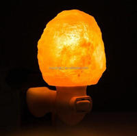 Lampe murale en sel de roche de l'Himalaya, style animal, écologique, fabriquée à la main au Pakistan, avec ampoule et prise, prix de gros
