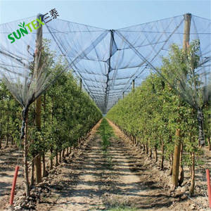<span class=keywords><strong>Filet</strong></span> <span class=keywords><strong>de</strong></span> <span class=keywords><strong>protection</strong></span> contre la grêle pour <span class=keywords><strong>cerisier</strong></span>/<span class=keywords><strong>Filet</strong></span> anti-grêle en plastique agricole/<span class=keywords><strong>Filet</strong></span> anti-grêle 70gsm à vendre - Product Image 2