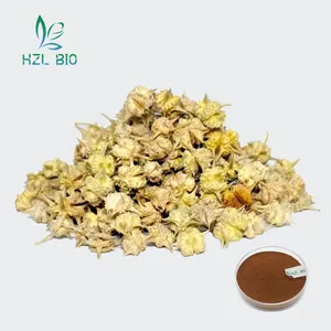 Good Quality Customized Pure Natural Health Care Tribulus Terrestris Extract Powder