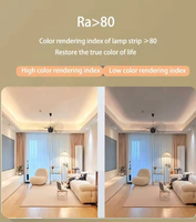 Vente en gros de bandes lumineuses LED haute tension 110V 220V SMD 2835 étanches à LED IP65 pour centres commerciaux décorations pour la maison