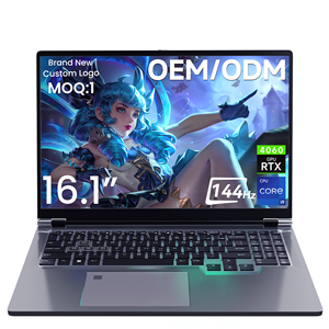 Brand New Business Use 16.1-Inch 14-Core I9-13900HK <b>Laptop</b> 512GB <b>SSD</b> 16GB RAM RTX 4060 16:10 144Hz Display 16-inch Win 11 Pro Ga - Product Image 1