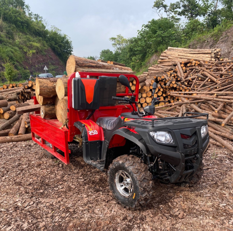 High quality China Manufacture 125cc Adult Atv Petrol 4x4 Quad with 150cc 4 Stroke