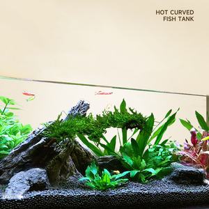 透明ガラス水族館デスクトップ生態学的水生植物タンクナイトライト水槽 - Product Image 3