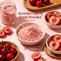 Groothandel Bulk 100% Natuurlijk Wateroplosbaar Voedingsmiddelkwaliteit Zuiver Acerola Kersen Fruitextract Poeder Rijk aan Vitamine C Halal Gecertificeerd
