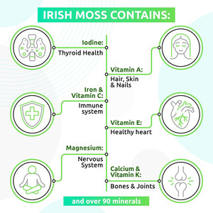 Sea <strong>Moss</strong> Gel With 92 Minerals Wildcrafted Irish <strong>Moss</strong> for Thyroid Support Immune Health Digestive Wellness and Energy - Product Image 3