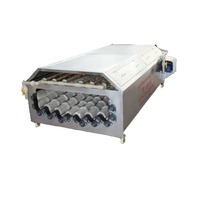 Prix d'usine Radis blanc Radis d'été Brosse Machine à laver