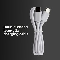 Câble de charge USB-C vers USB-C en PVC respectueux de l'environnement pour 30 cm, 50 cm, 1 m