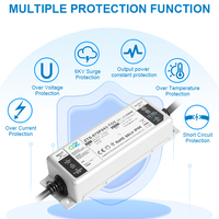 Controlador LED Zetoo de Alta Eficiencia Energética, Impermeable IP66, 3 en 1, Atenuación, Salida Única, 50W-300W, Sin Parpadeo, 5 Años de Garantía para Iluminación Exterior