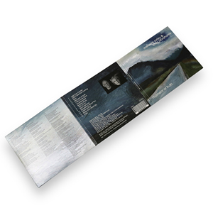 Minimal Full Color Printed 6 Panel Fold-out Cardboard CD Wallet Sleeve For Music Album Disc Packaging - Product Image 3