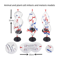 Modelos de Mitosis y Meiosis de Células Animales y Vegetales, Cambios Cromosómicos, Material Didáctico, Instrumentos de Enseñanza de Biología