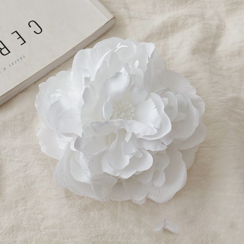 Tête de fleur de pivoine blanche