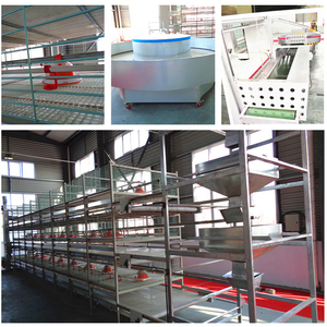 완전 자동 가금류 H 유형 배터리 시스템 계란 층 닭 감금소 - Product Image 3