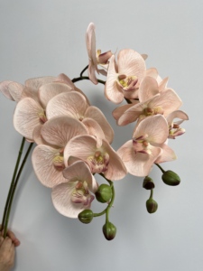 RK257 Orchidées artificielles en gros <span class=keywords><strong>Phalaenopsis</strong></span> <span class=keywords><strong>Dendrobium</strong></span> Latex Papillon 7 têtes Fleurs d'orchidées artificielles au toucher réel - Product Image 1