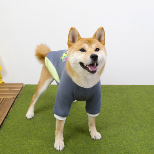 Ropa para perros grandes Traje deportivo Fabricante al por mayor Golden Retriever Samoyedo - Product Image 2