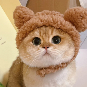 Amazon hochwertige Haustier Kopf bedeckung niedlichen Hund Teddy Dress Up Sonnenblume Haustier Headset Perücke Katze Halloween Hut
