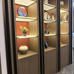Vitrine de présentation et de rangement de collection de qualité muséale, <span class=keywords><strong>en</strong></span> <span class=keywords><strong>bois</strong></span> plaqué moderne de luxe, écologique, durable, peinture lumineuse, pour usage domestique - Product Image 4
