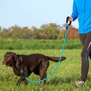 Chất Lượng Cao Nhỏ Dog Leash Snap Hook Leo Nhiệm Vụ Nặng Nề Rope Pet Dog Collars Và Leash Dây Không Thấm Nước Dog Leash