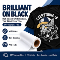 Rouleau de film PET DTF neuf, à flux d'encre fluide, couleurs vives, matériau d'impression par transfert DTF pour t-shirts et sweats à capuche