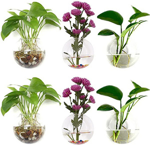 Dropshipping Terrarium Container <b>Flower</b> Plants Hanging Glass for Propagating Hydroponic Home Garden Ball Wedding <b>Decor</b> - Product Image 2