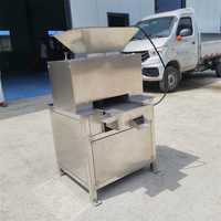 Industriële citruspers met dubbele rol, hoge productiviteit, voor commerciële toepassing in fruitverwerkingsbedrijven.
