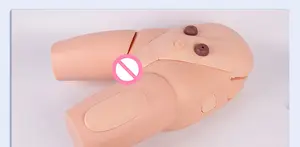 Modelo Avançado de Cateterização Masculina e Feminina, Auxílio Didático para Treinamento em Cateterização Humana - Product Image 5