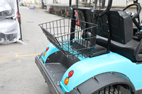 Prix de gros abordable, buggy tout-terrain 48V, chariot de golf électrique HDK EVOLUTION