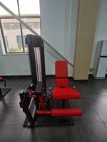 Équipement de gymnastique d'entraînement chargé par goupille de machine commerciale de Biceps Curl de haute qualité