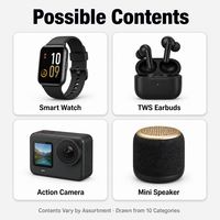 Groothandel Mystery Box 3C Elektronica 2 Stuks Willekeurige Selectie Smartwatch TWS Oordopjes Camera of Meer Cadeaubox Bulk Wederverkoop