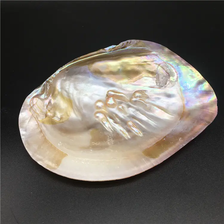 13-15cm天然淡水パールオイスターシェルムール貝真珠の母DIYジュエリー作り工芸品