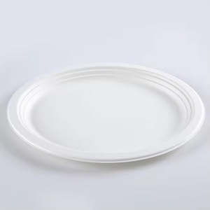 Assiettes biodégradables en bagasse de canne à sucre, jetables, compostables et empilables pour les fêtes, vente en gros - Product Image 2