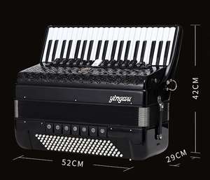 YW9968 Perroquet 41 touches 120 Basse 4 chorus clavier accordéon - Product Image 6
